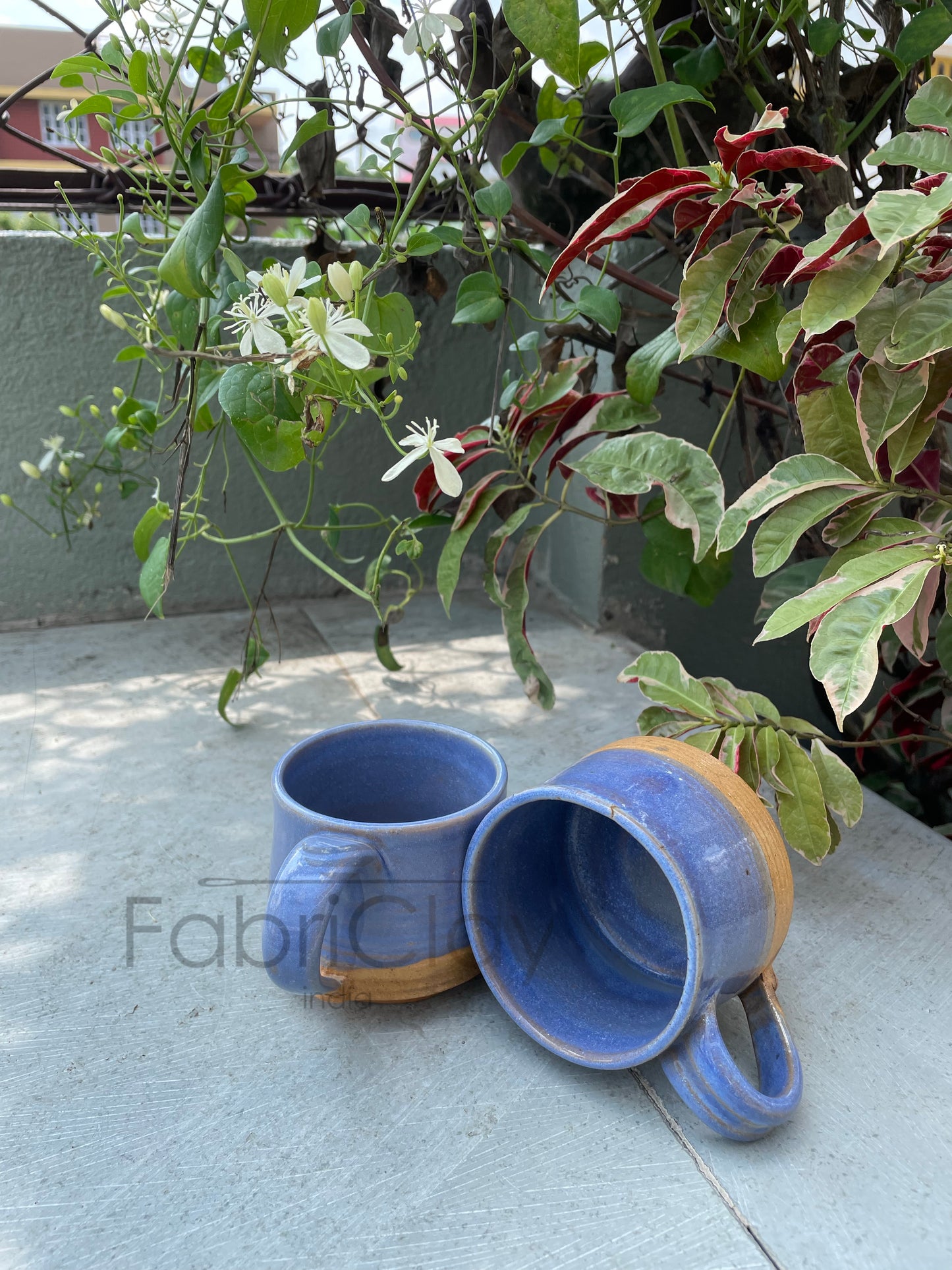Ceramic tea cups (set of 2)